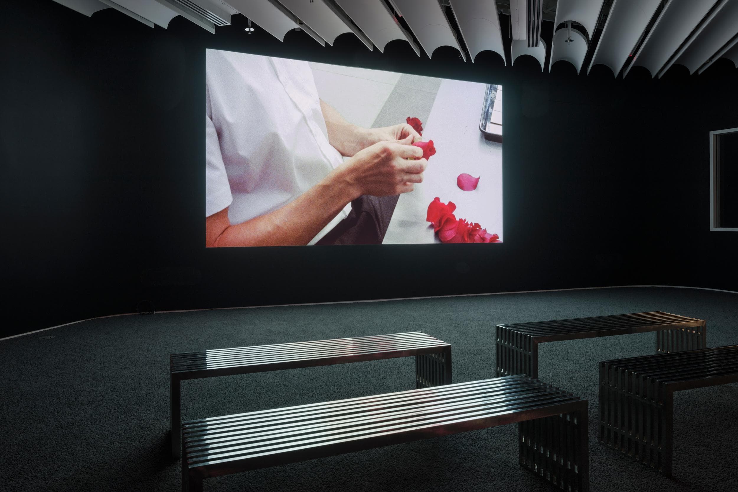 Installation view of Cloud of Petals by Sarah Meyohas, 2017